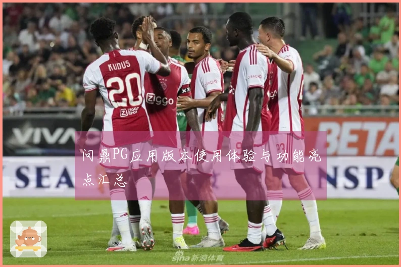 问鼎PG应用版本使用体验与功能亮点汇总